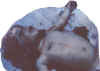 f6.jpg (33820 bytes)